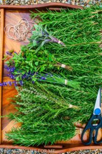 Herb cuttings for Herb Swag