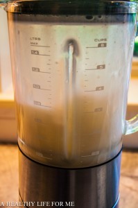 Coconut Margarita blended in Breville Blender