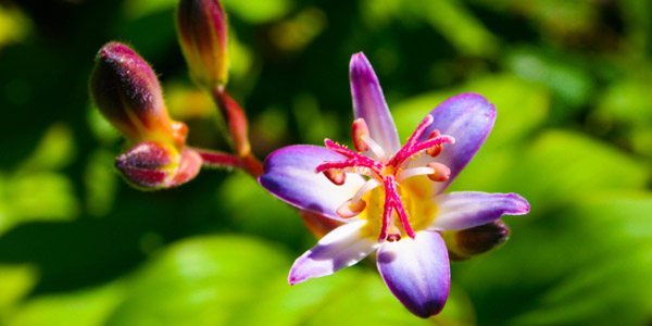 /wp-content/uploads/2012/09/slider6.jpg