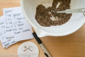 Yarrow seeds ready to be packaged in small envelopes