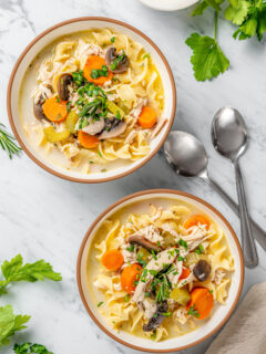 Two bowls of the best chicken noodle soup with cream and noodles.