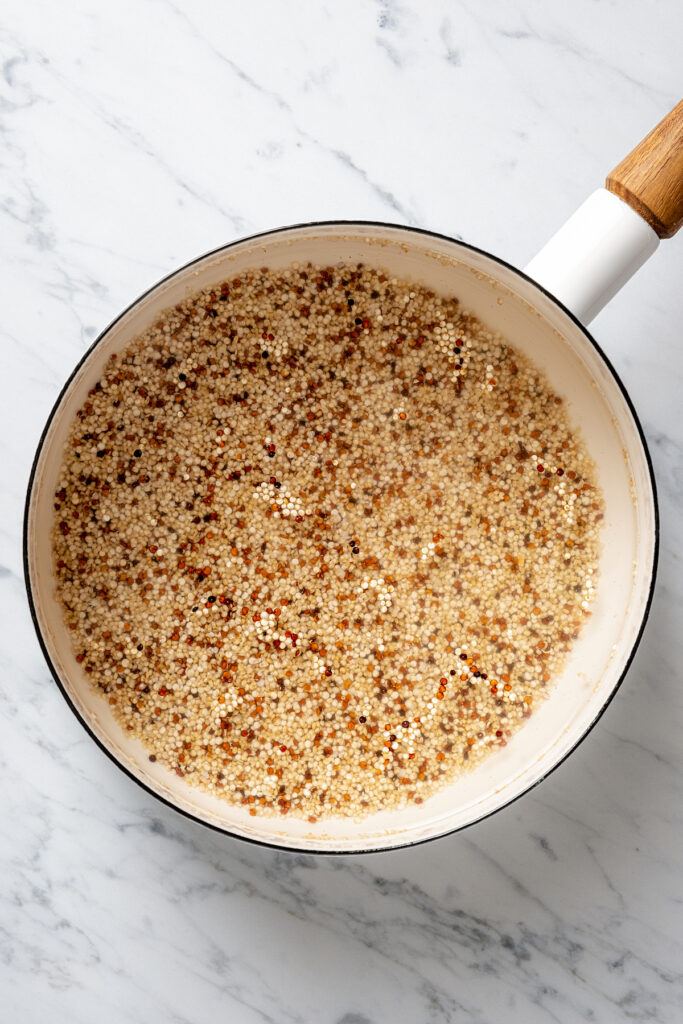 Dry quinoa in a pot, ready to be cooked.
