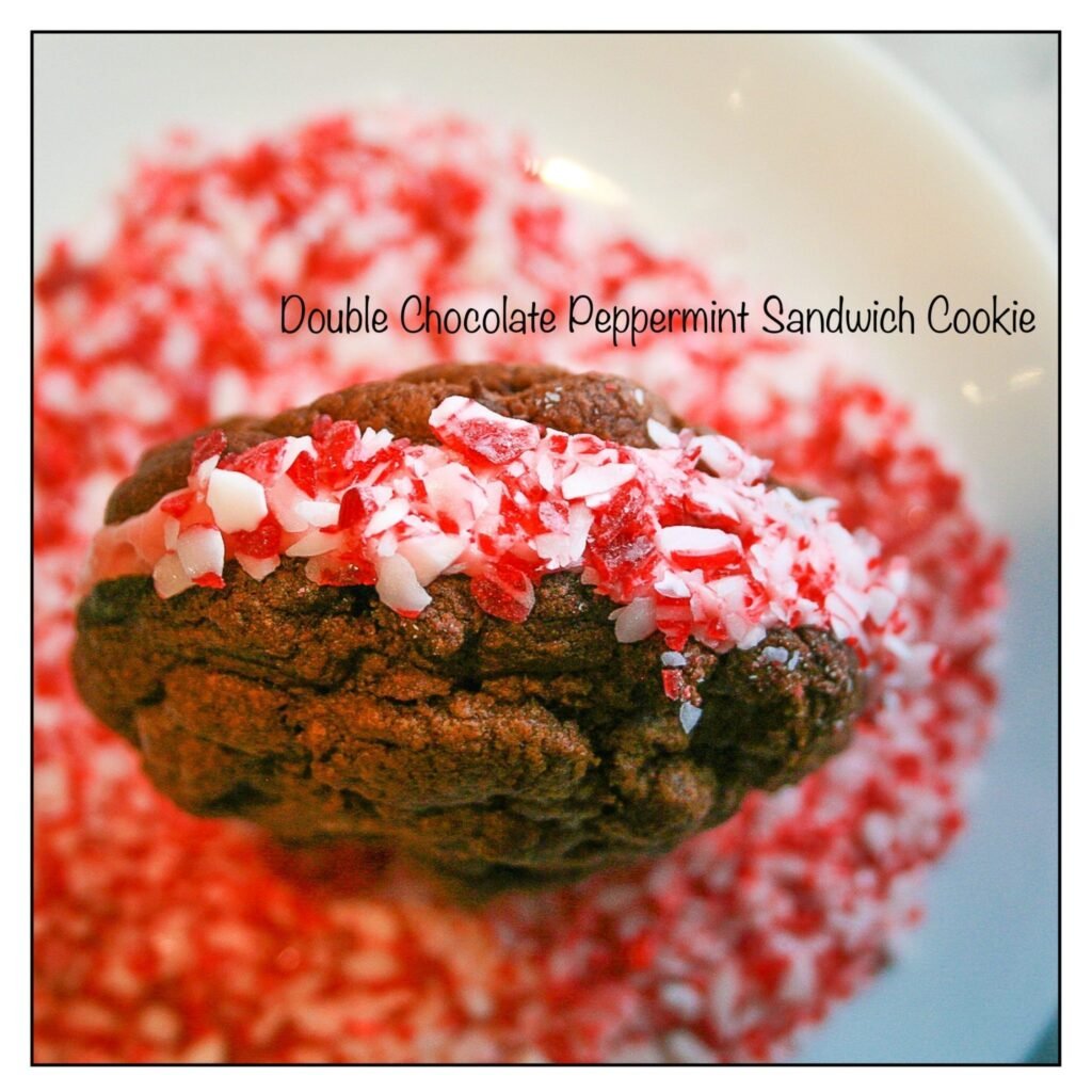 Double Chocolate Peppermint Sandwich Cookie
