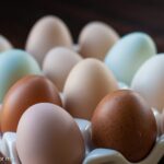 Which Eggs should you be eating? There are more and more choices of egg varieties when you are at your grocery store. Regular, Cage Free, Free Range, and Organic. Which ones are the best choice for you? Read on and find out.