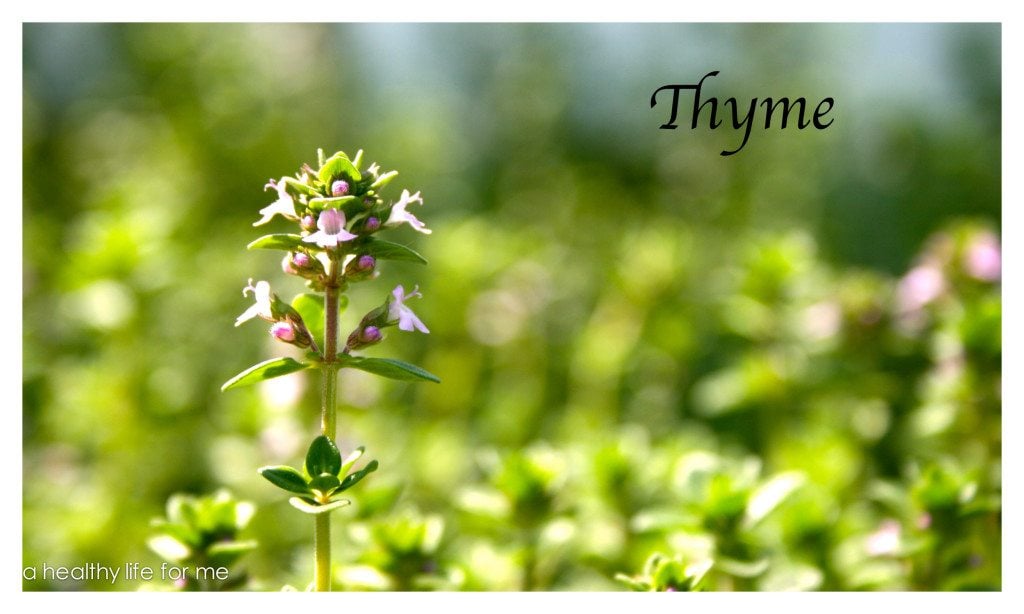 Thyme growing in the garden at www.ahealthylifeforme.com