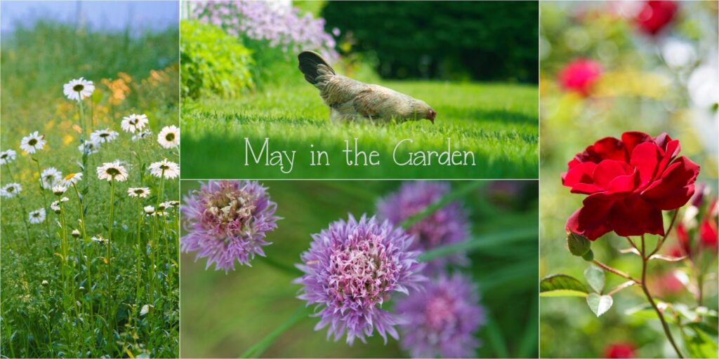 May in the Garden