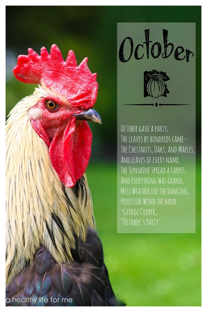 october garden to do list for the organic gardener with ahealthylifeforme.com