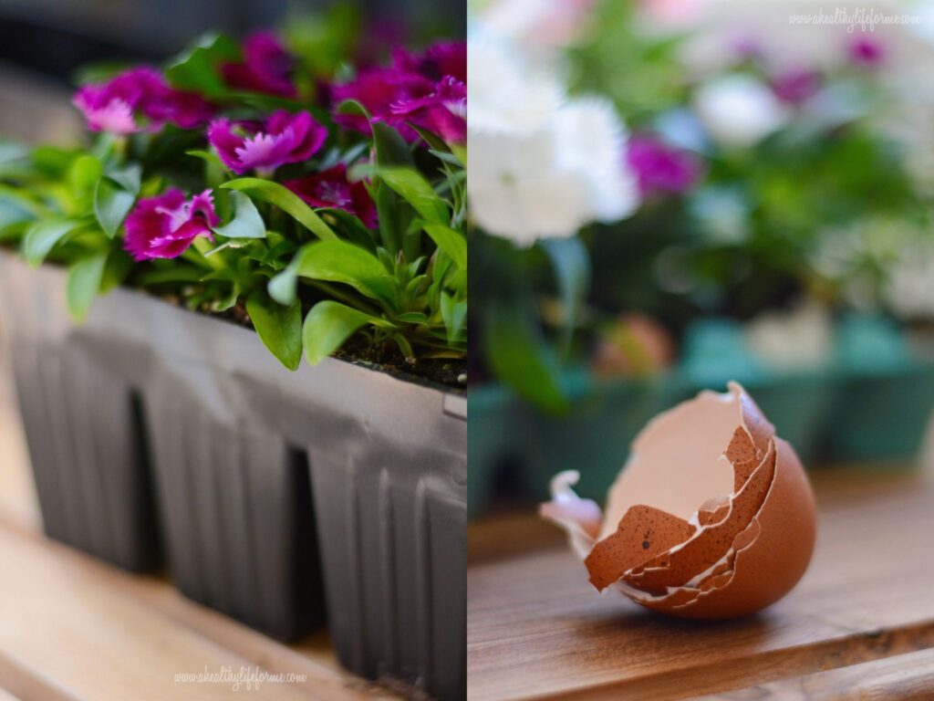 Supplies for DIY Eggshell planters #EarthDayProjects