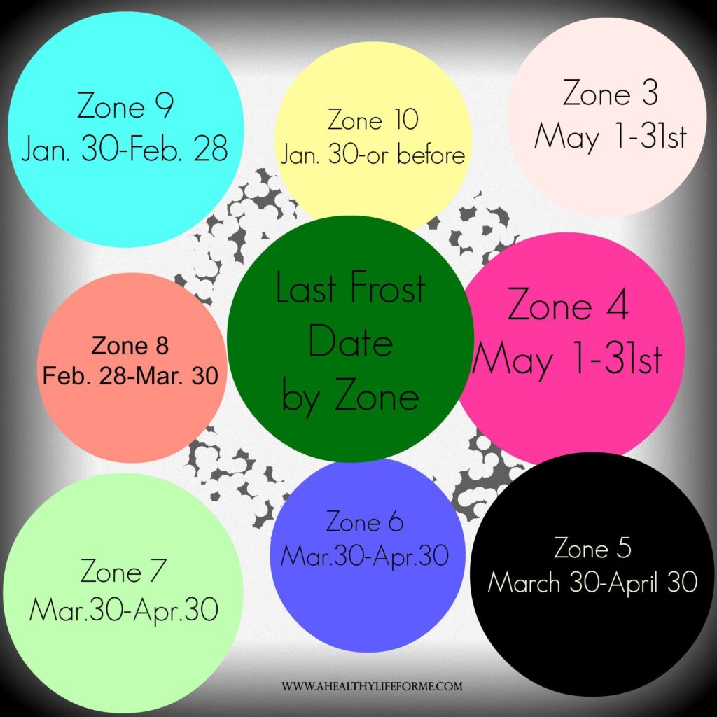 Last Frost Date by Zone Planting Your Spring Vegetable Garden