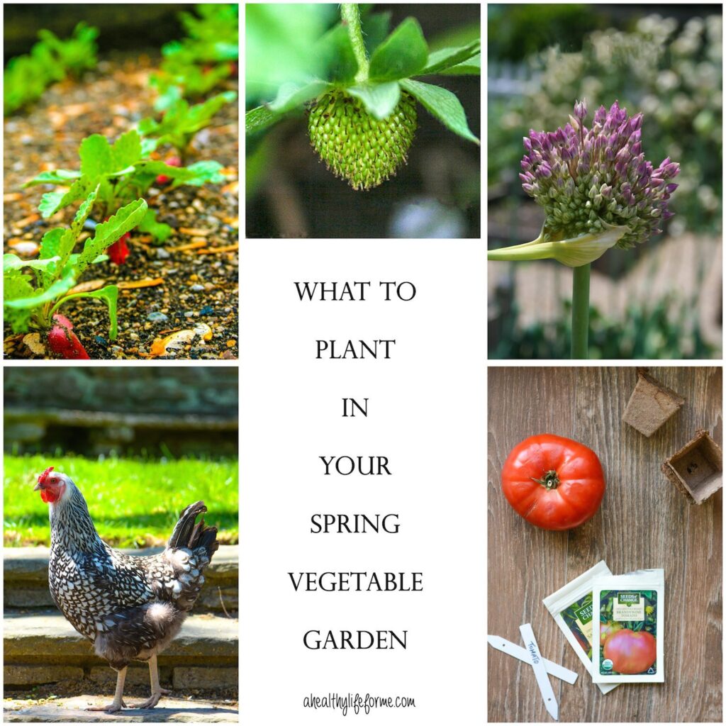 What to Planting Your Spring Vegetable Garden