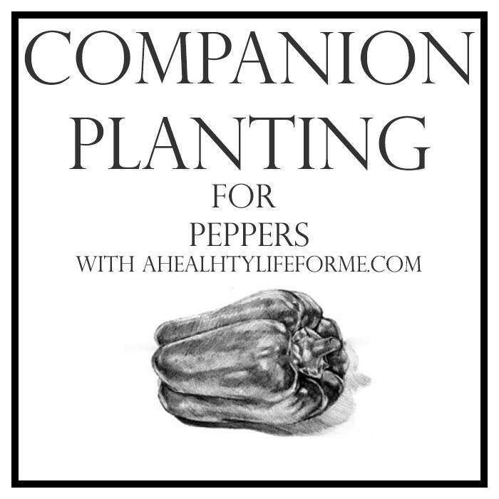 Companion Planting for Peppers | ahealthylifeforme.com
