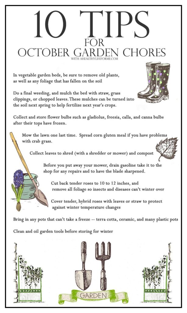 10 tips for october garden chores | ahealthylifeforme.com