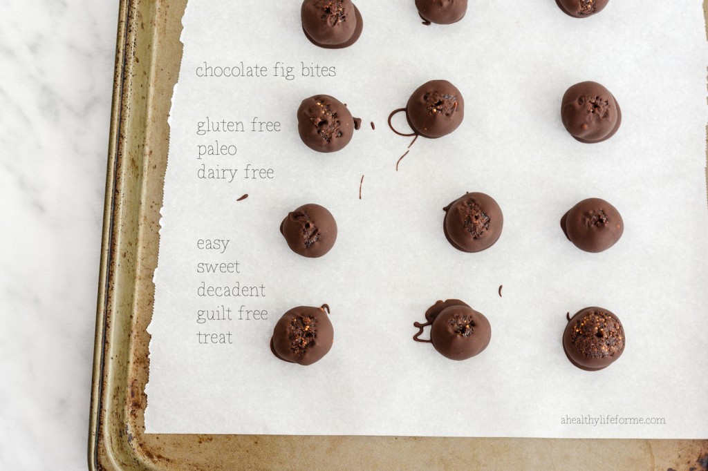 Gluten Free Paleo Chocolate Fig Bites Recipe | ahealthylifeforme.com