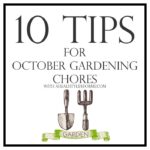 10 Tips for October Gardening | ahealthylifeforme.com