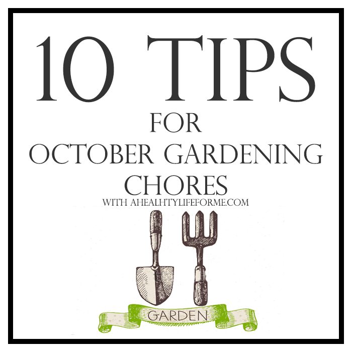 10 Tips for October Gardening | ahealthylifeforme.com