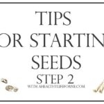 Tips for Starting Seeds for your Vegetable Garden | ahealthylifeforme.com