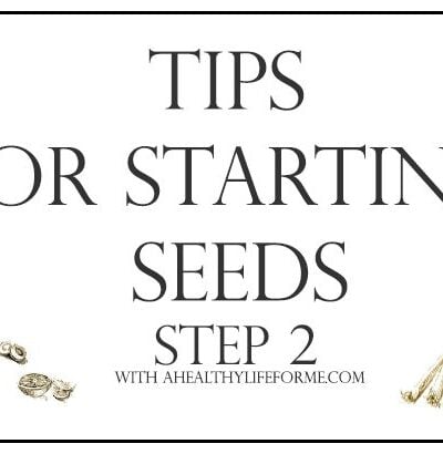Tips for Starting Seeds for your Vegetable Garden | ahealthylifeforme.com