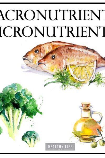 What are Macronutrients and Micronutrients | ahealthylifeforme.com