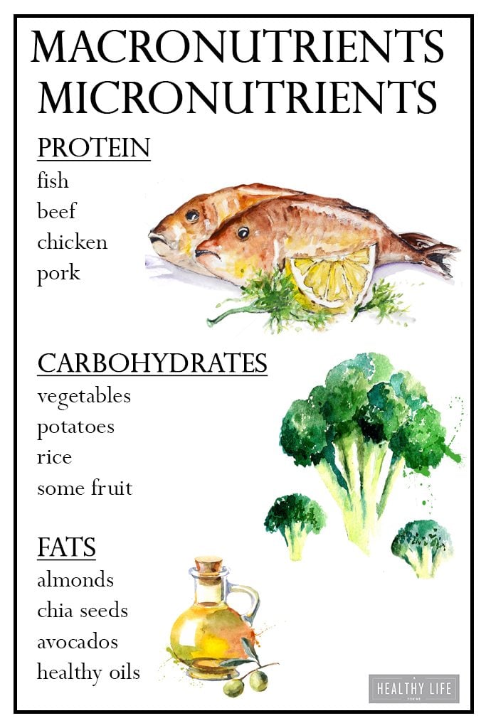 What are Macronutrients and Micronutrients | ahealthylifeforme.com 